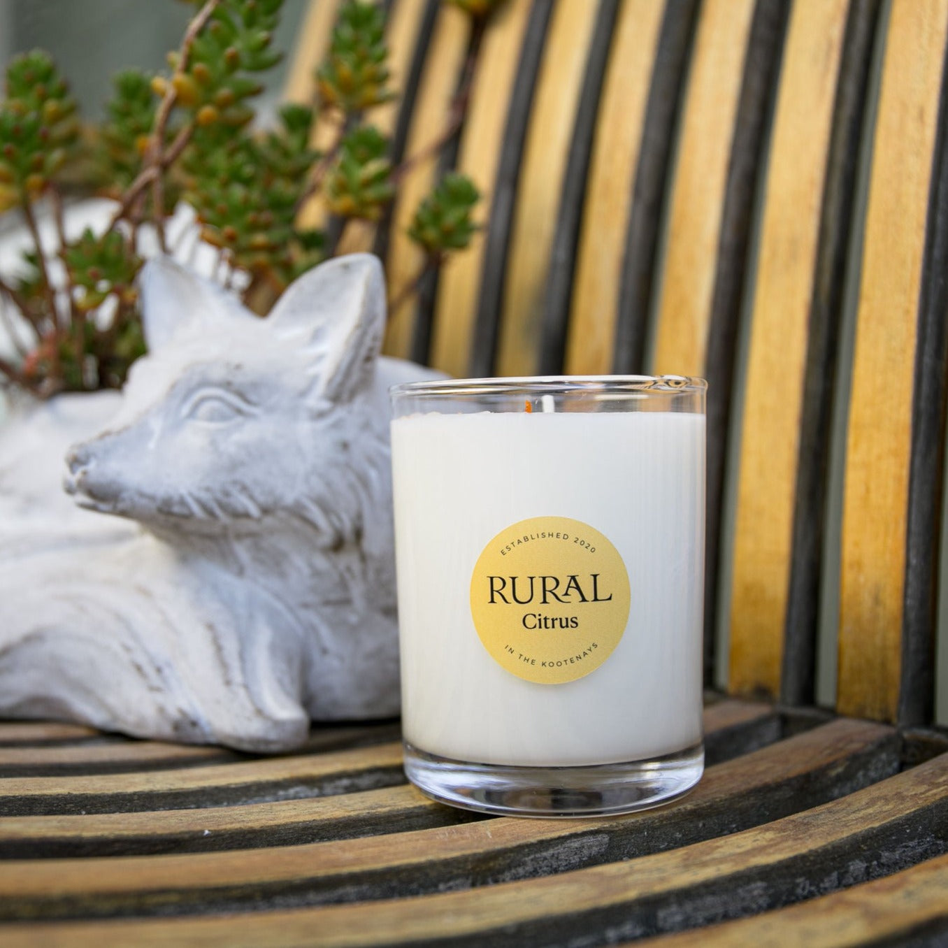 Photo of a white candle in a clear glass container with a yellow round RURAL Candles label on it, indicating the scent is called Citrus. The Citrus candle looks fresh and inviting, sitting on a wooden outdoor chair alongside a ceramic planter shaped like a little white fox.