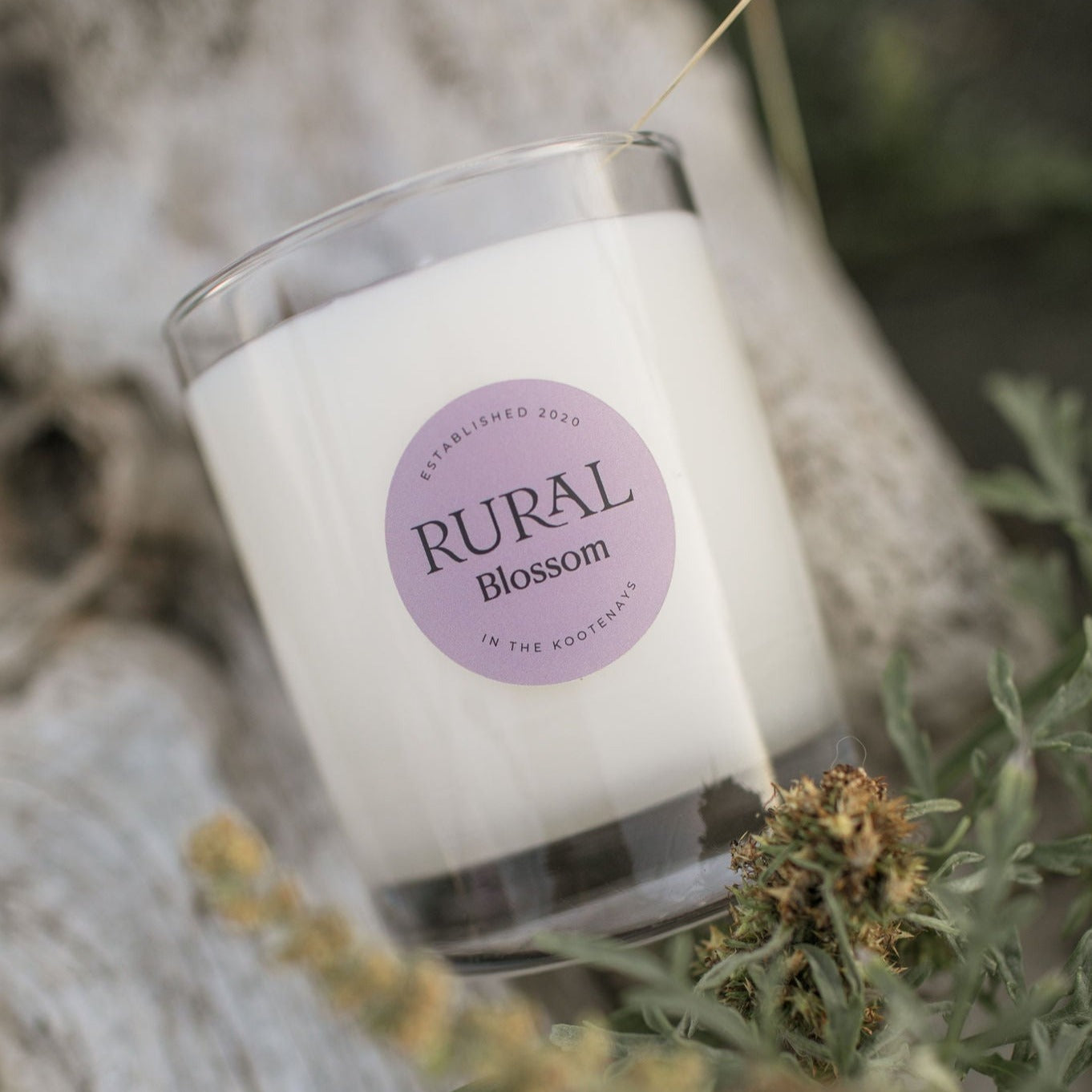 Photo of a white candle in a clear glass container with a light purple round RURAL Candles label on it, indicating the scent is called Blossom. The candle candle is sitting atop a log on the beach with wildflowers around it, giving a natural, relaxing vibe.
