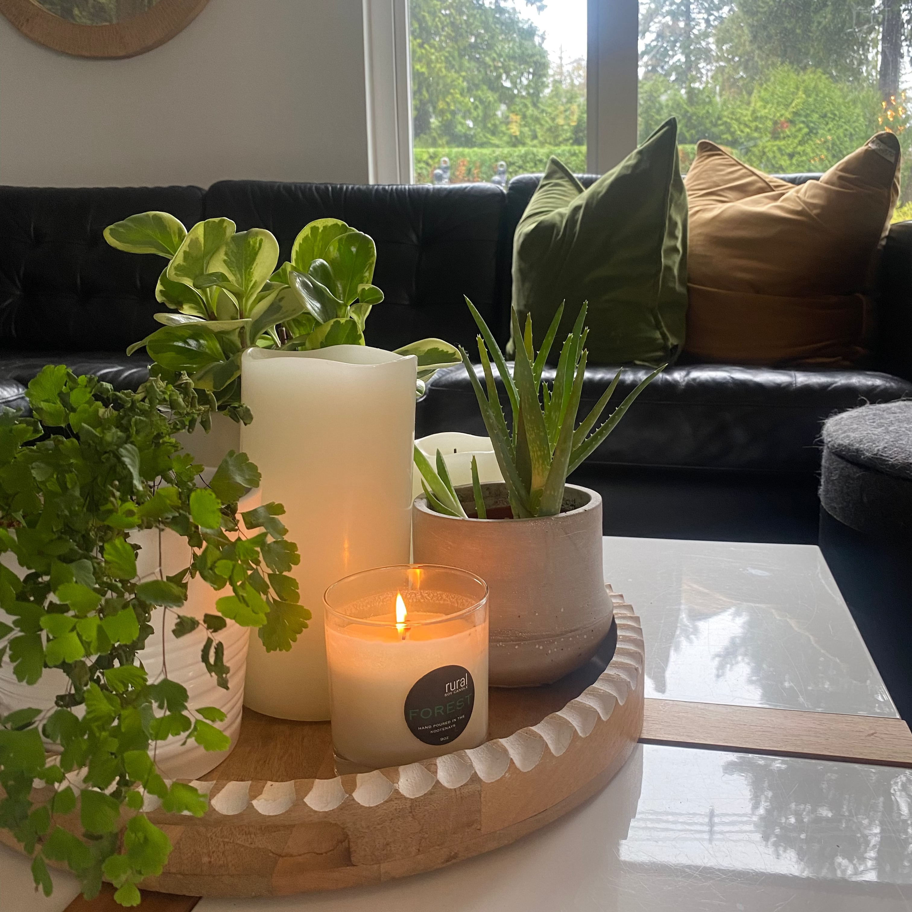 Photo of a cozy, modern, west coast styled living room with black leather couches, green and gold velvet pillow and a tray of green plants and RURAL Candles in the centre. The glow of the candle light in the cool room creates a beautiful warm, inviting, cozy space.
