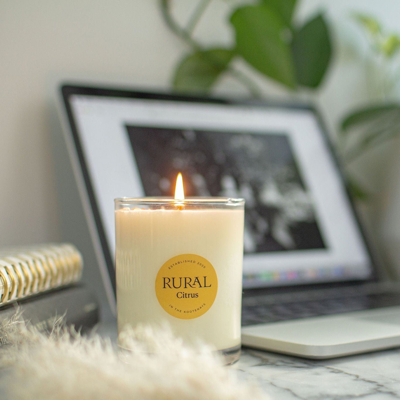 Photo of a white coco-soy candle in a clear glass container with a yellow round RURAL Candles label on it, indicating the scent is called Citrus. The Citrus candle looks very relaxing and serene as it sits on a marble table, with books, black and white art, and green foliage surrounding it.