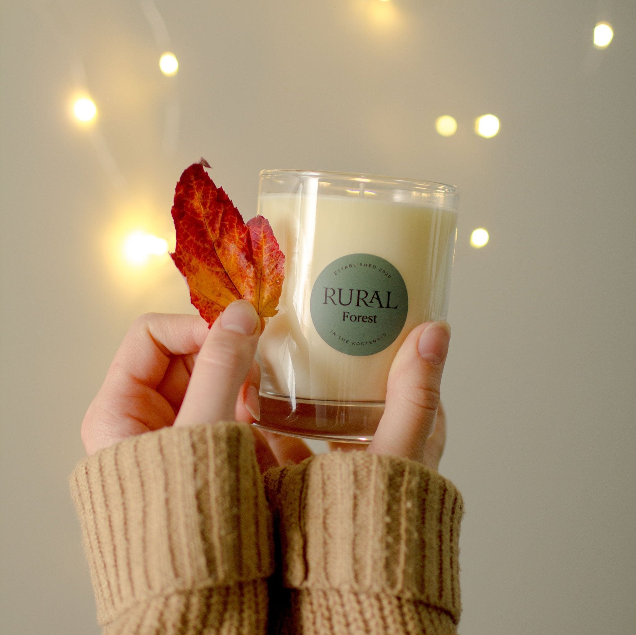 Photo of a white candle in a clear glass with a round green label indicating RURAL Candles Forest Scent. The candle is held by a girl's hands, holding a maple leaf beside and fairy lights twinkling in the background, giving a magical cozy vibe.