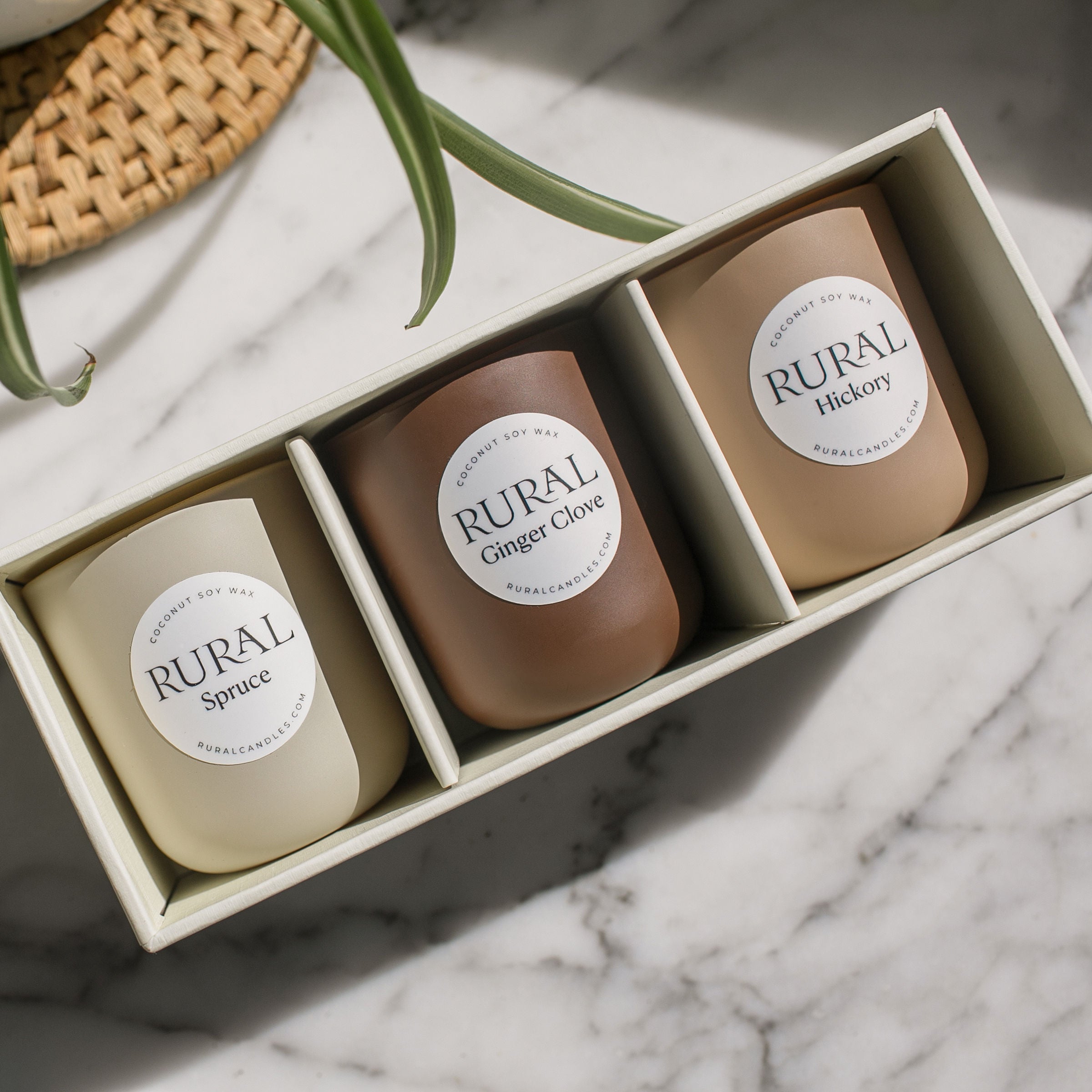 Spruce / Ginger Clove / Hickory Mini Candle Trio