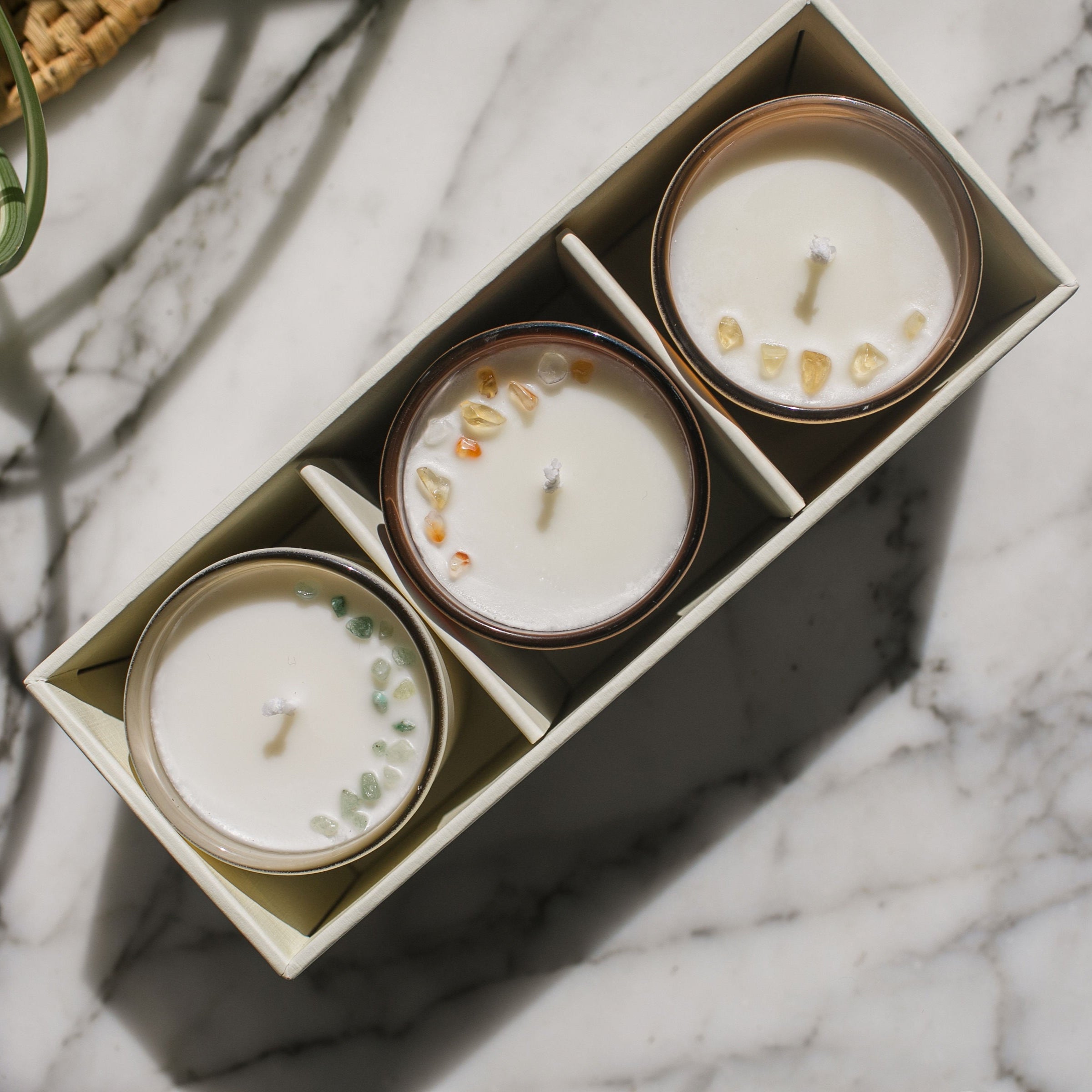 Spruce / Ginger Clove / Hickory Mini Candle Trio