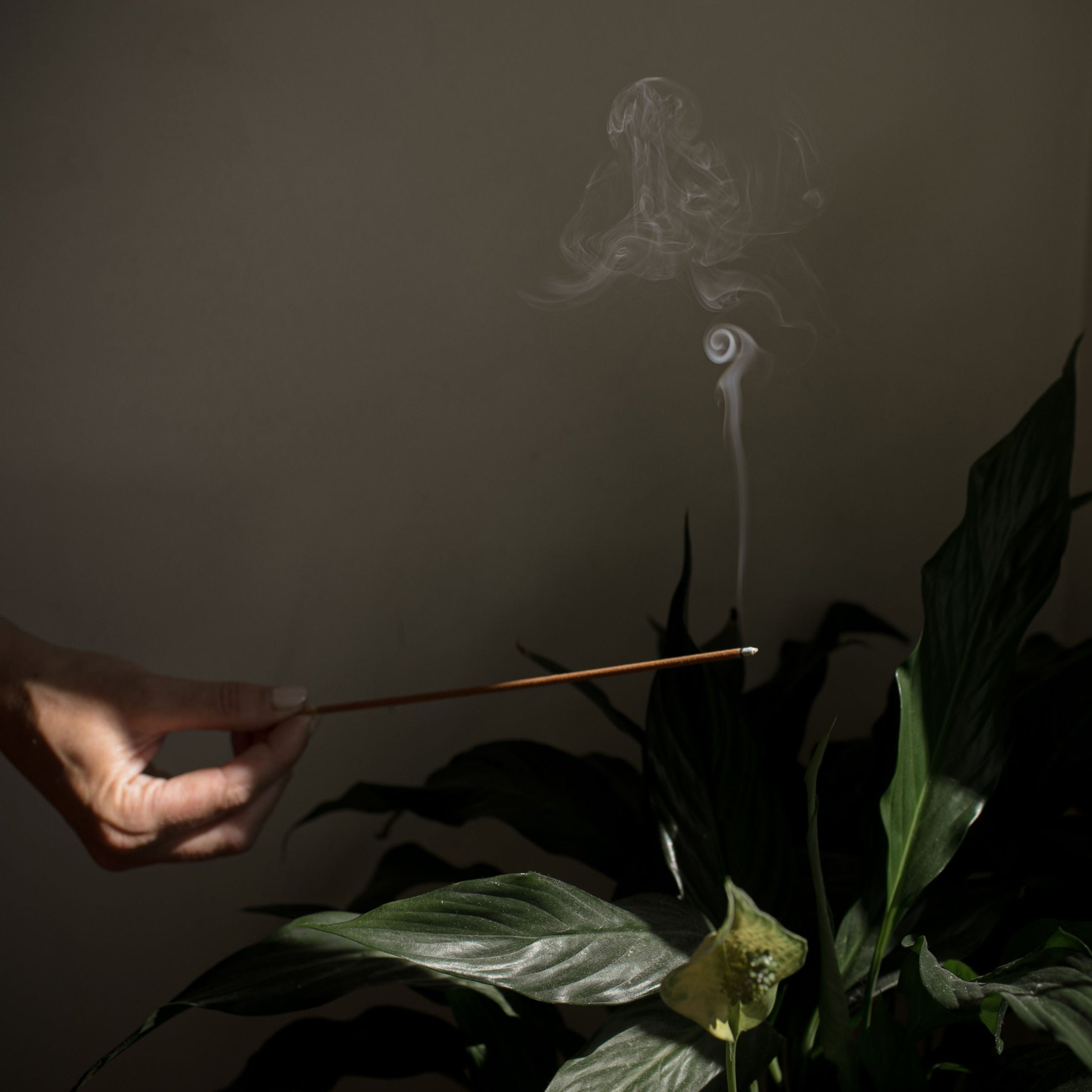 Hand holding an incense stick with smoke against a dark background