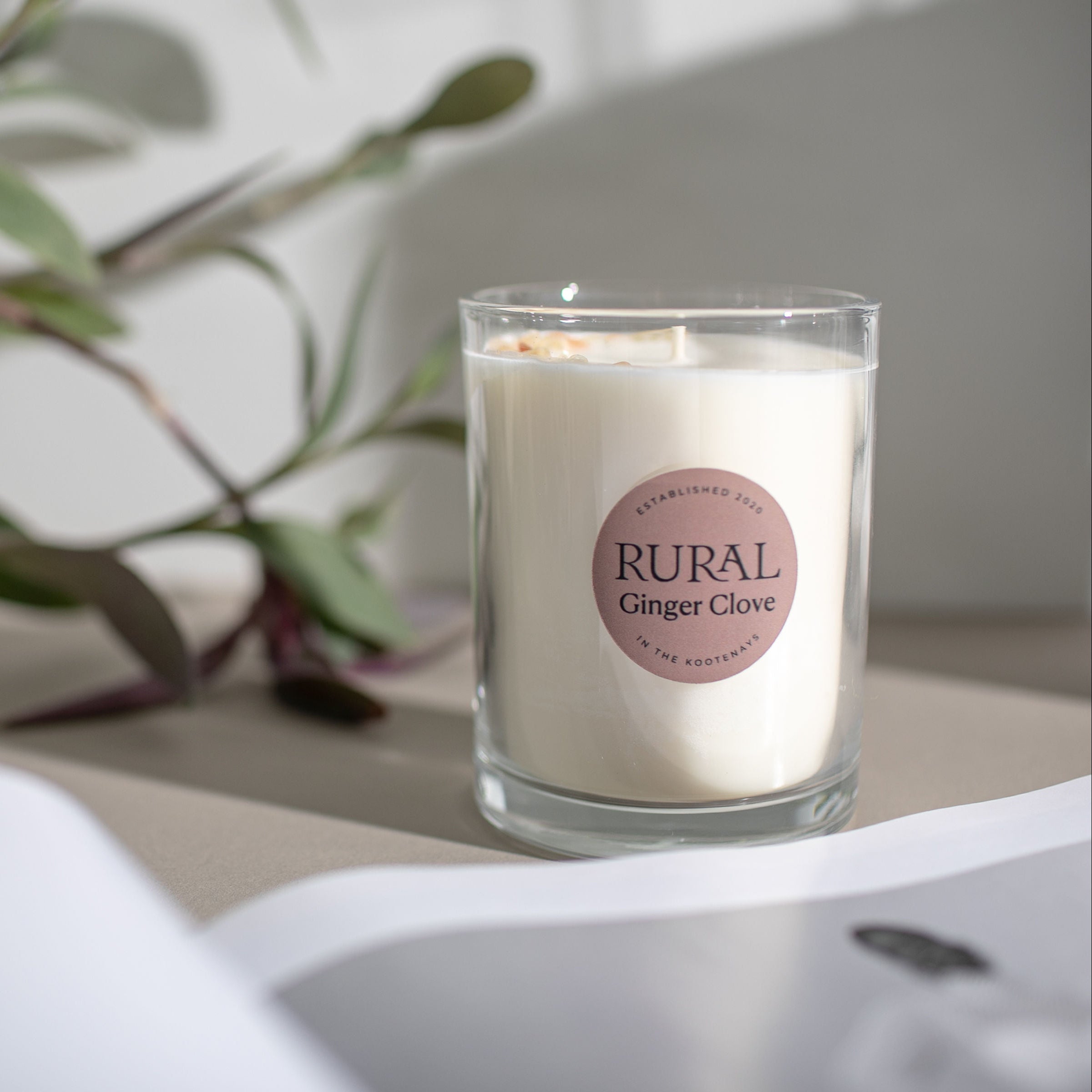 Candle with a Ginger Clove label on a surface with a plant in the background