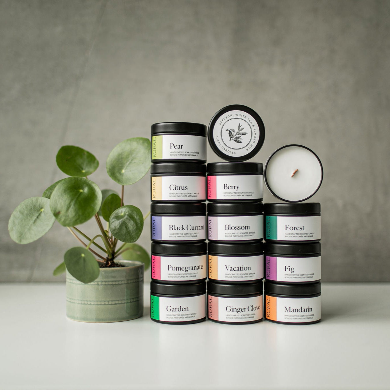 Stack of candles with colourfully labelled lids on a white surface next to a small plant, against a gray background.
