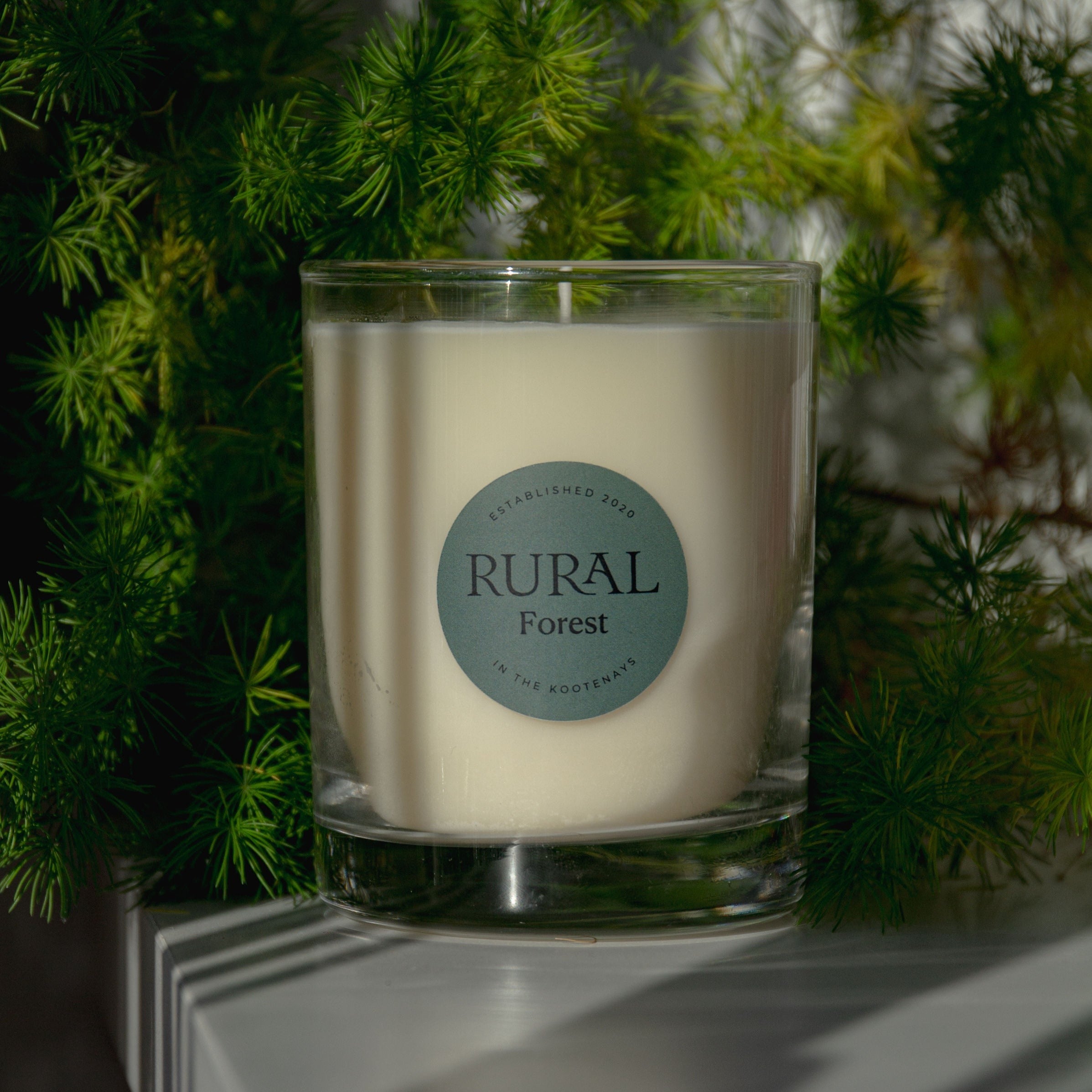Photo of a white candle in a clear glass with a round green label indicating RURAL Candles Forest Scent. The candle is on a grey table with green foliage surrounding, suggesting the outdoors, pine, fir tree fragrance.