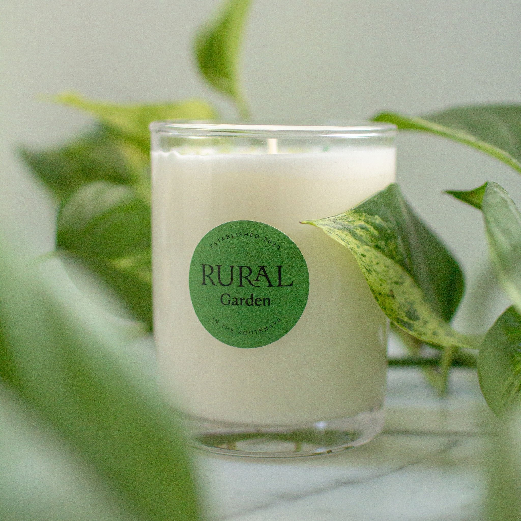 Photo of a coconut soy candle in a clear white glass with a green circle label on it, sitting on a marble counter with green leaves surrounding it, looking like a very lush and inviting space. The RURAL Garden Candle originates from the Kootenays.