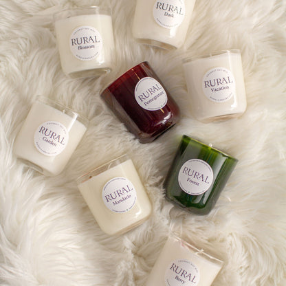 Mini Candle Trio: Forest / Mandarin / Forest