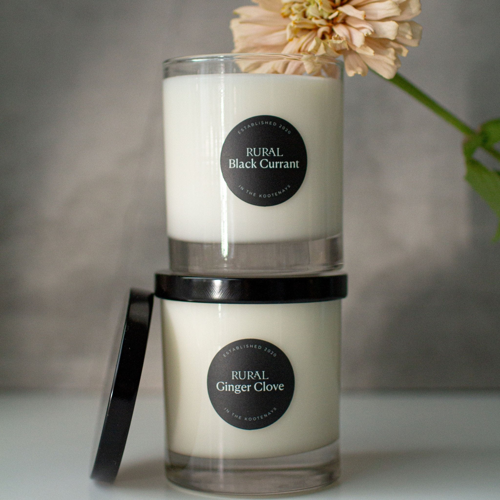 Black Currant Classic Glass Candle