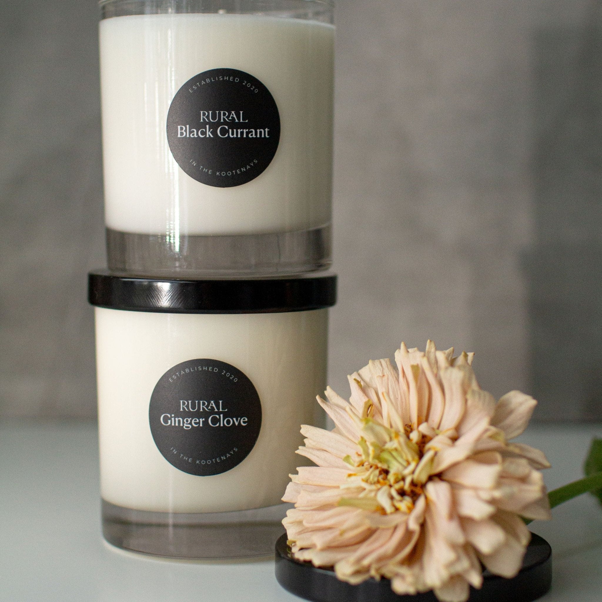 Ginger Clove Classic Glass Candle